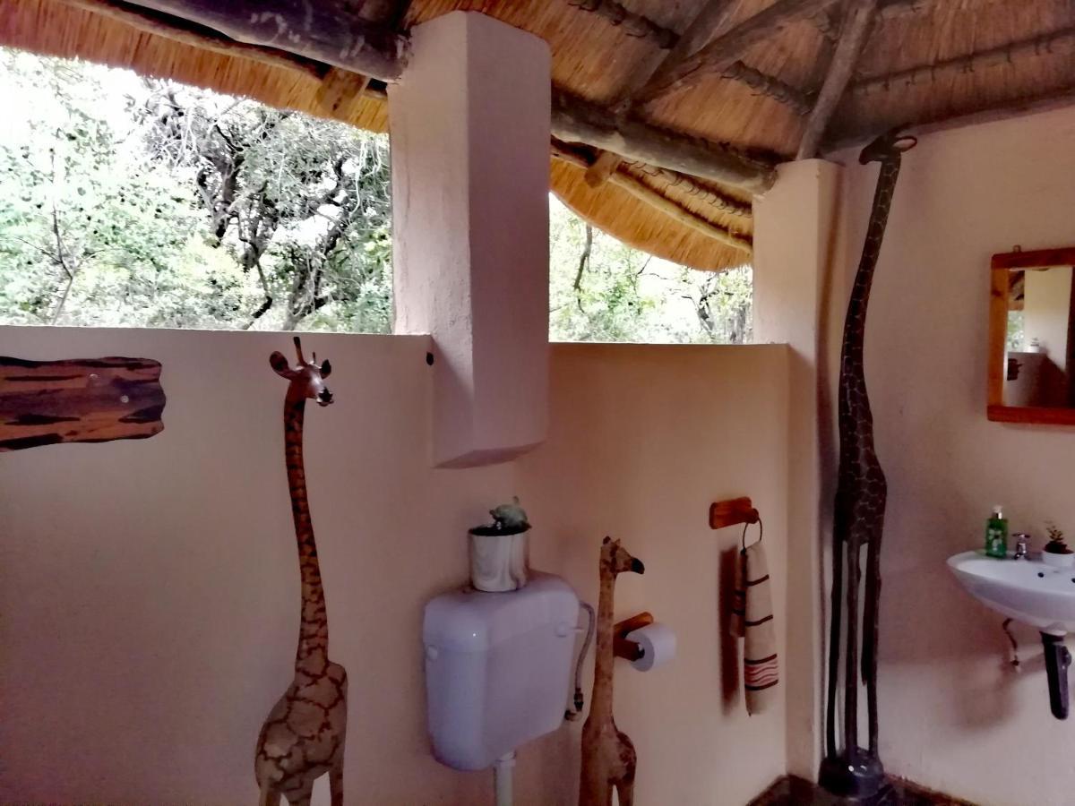 侯斯普瑞特Shumba Safari Bush Camp别墅 外观 照片