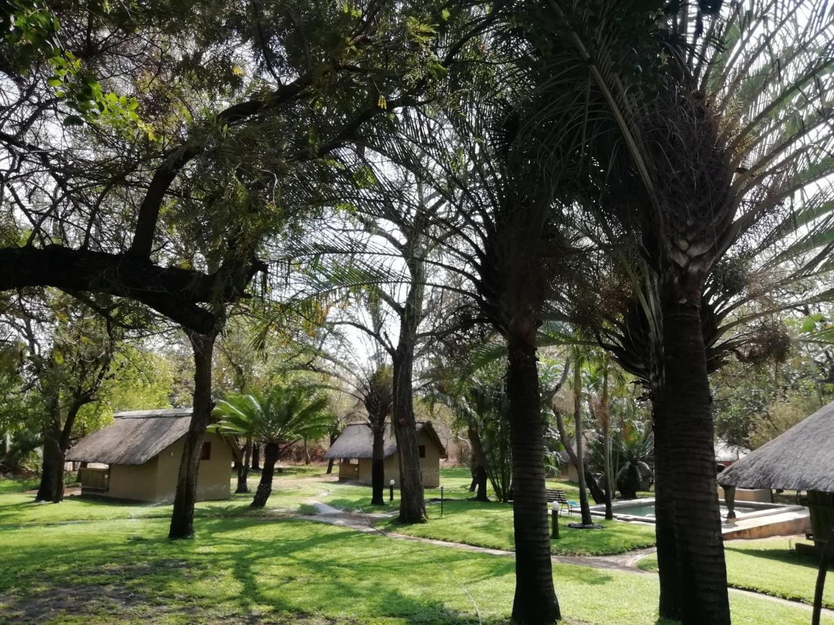 侯斯普瑞特Shumba Safari Bush Camp别墅 外观 照片